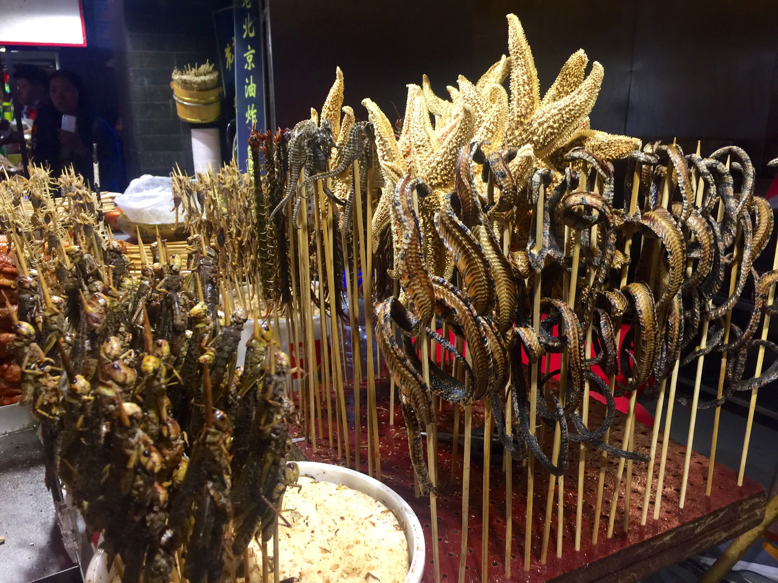 Den 19–21 – Velká čínská zeď, Forbidden City, Wanfujing Street, foto 6